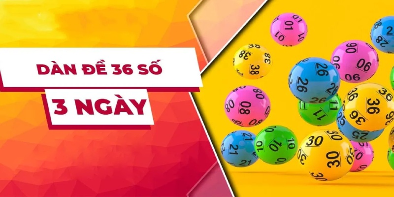 Lưu ý khi nuôi dàn đề 36 con khung 3 ngày